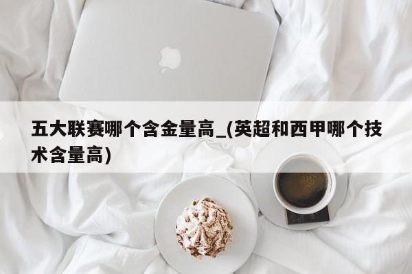 五大联赛哪个含金量高_(英超和西甲哪个技术含量高)