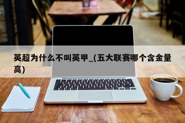 英超为什么不叫英甲_(五大联赛哪个含金量高)