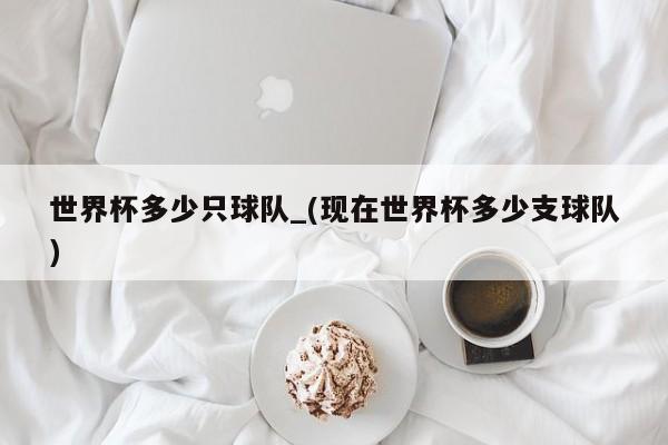世界杯多少只球队_(现在世界杯多少支球队)