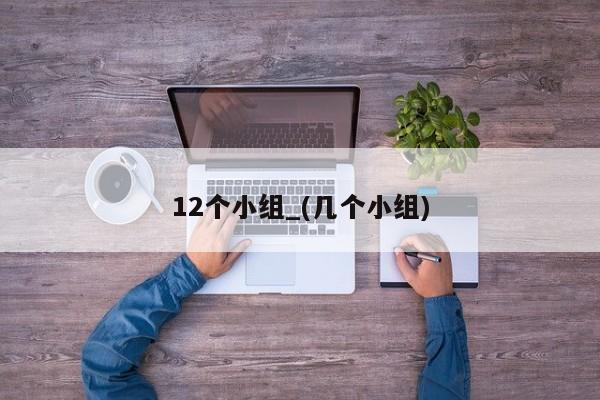 12个小组_(几个小组)