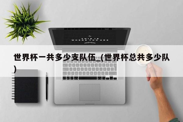 世界杯一共多少支队伍_(世界杯总共多少队)