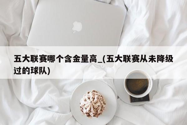 五大联赛哪个含金量高_(五大联赛从未降级过的球队)